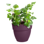 vibia campana easy hanger small morado arce